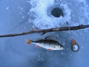 Понижение уровня воды в конце зимы